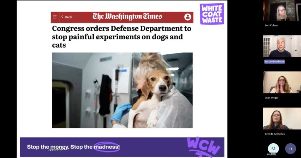 Congress orders Defence Dept to Stop Painful Experiments on Dogs and Cats