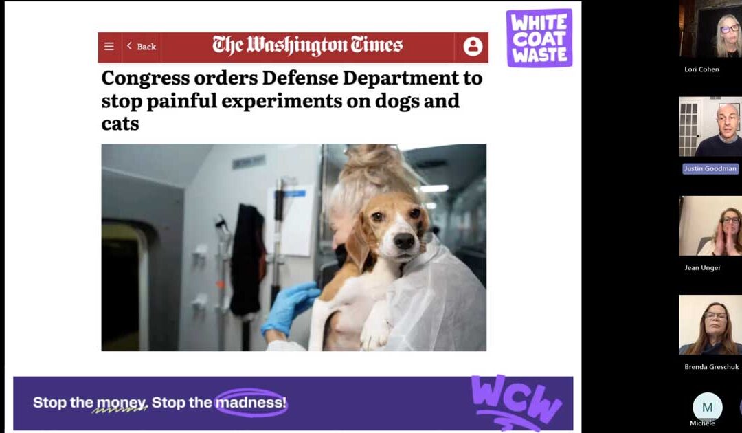 January Town Hall – Special Guest Justin Goodman