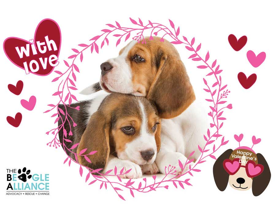 TBA Valentine's Day E-Card