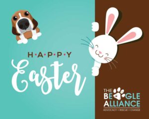 Happy Easter E-Card Happy Easter E-Card