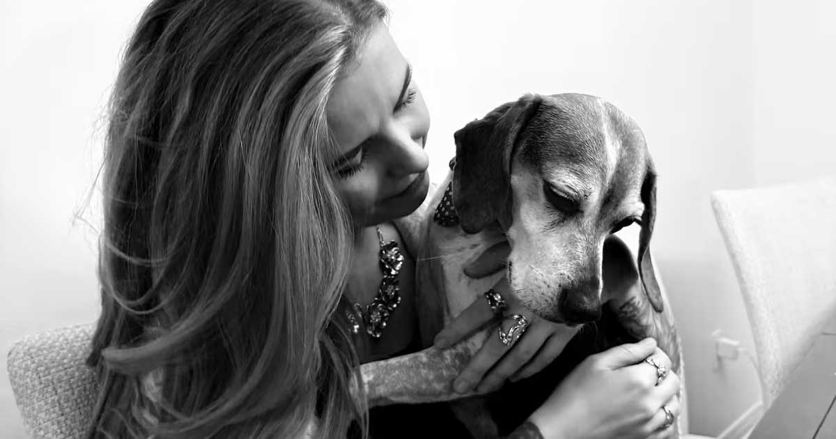 One Beagle at a Time: A Rainy Afternoon in London