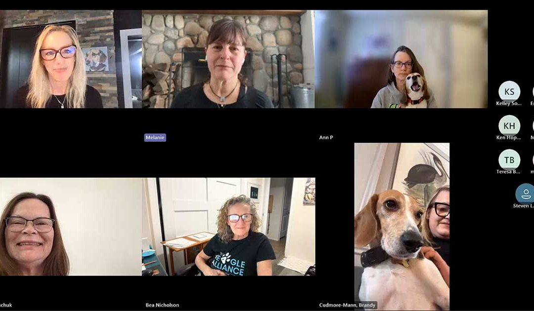 January Town Hall – Melanie D.G. Kaplan, Author