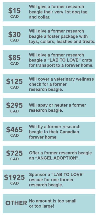 The Beagle Alliance Donation Amounts of $15, $30, $85, $125, $295, $465, $725, $1925