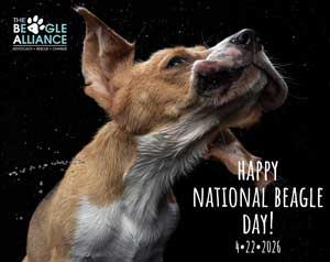 National Beagle Day