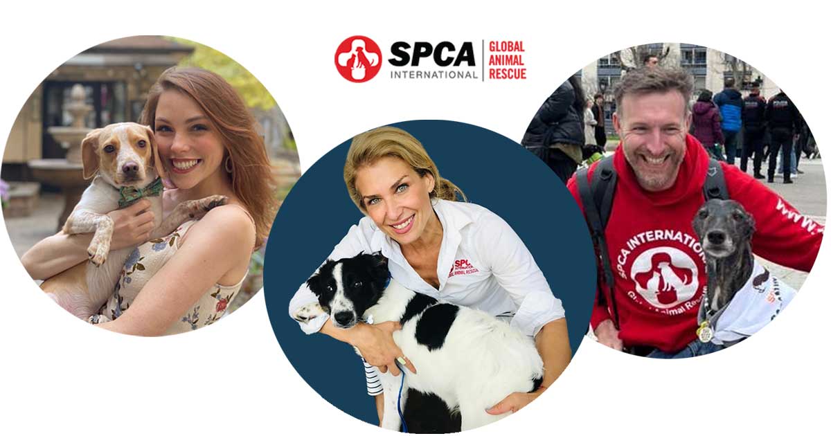 Lori Kalef, the Director of Programs, Katie Raab, the Advocacy & Events Campaign Coordinator, and Owen Laukkanen at SPCA International