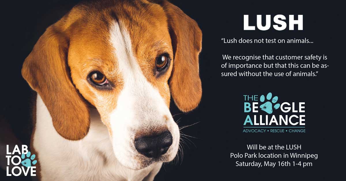 TBA at Lush Polo Park Winnipeg