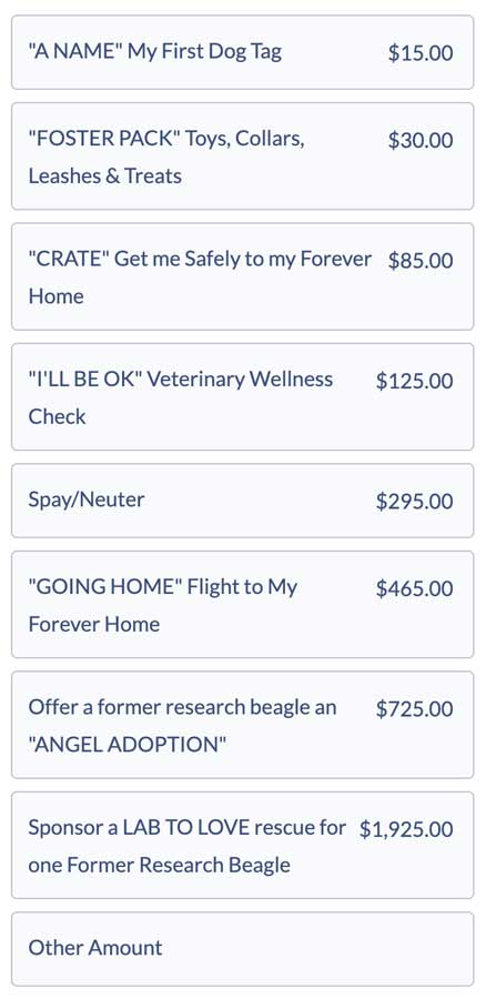 Donate Now - specific amounts