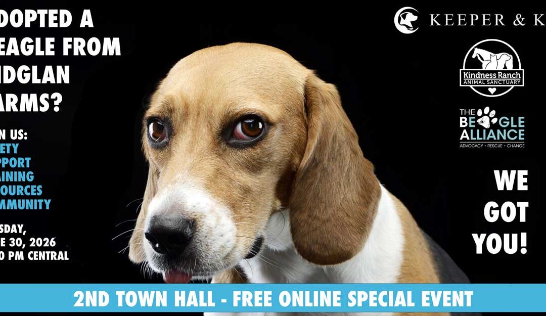 FOR THE RIDGLAN BEAGLES: An Additional Evening of Support, Safety, Learning & Community