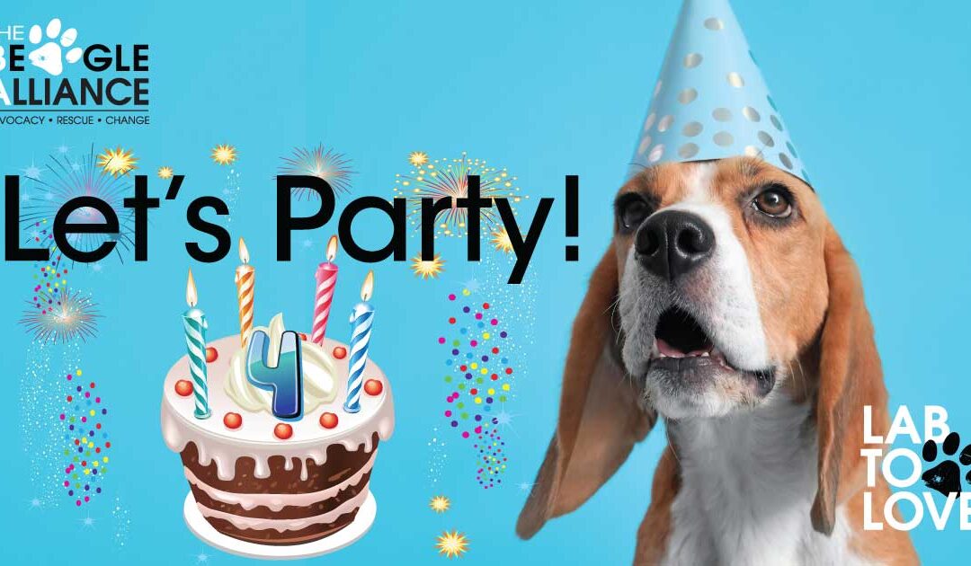 Join Our Birthday Town Hall!
