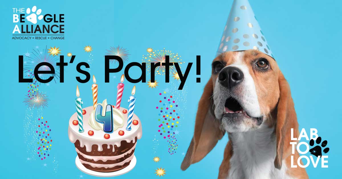 Join Our Birthday Town Hall!