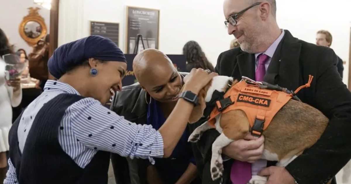 This Beagle Is An ‘Accidental Ambassador’ For Former Research Dogs