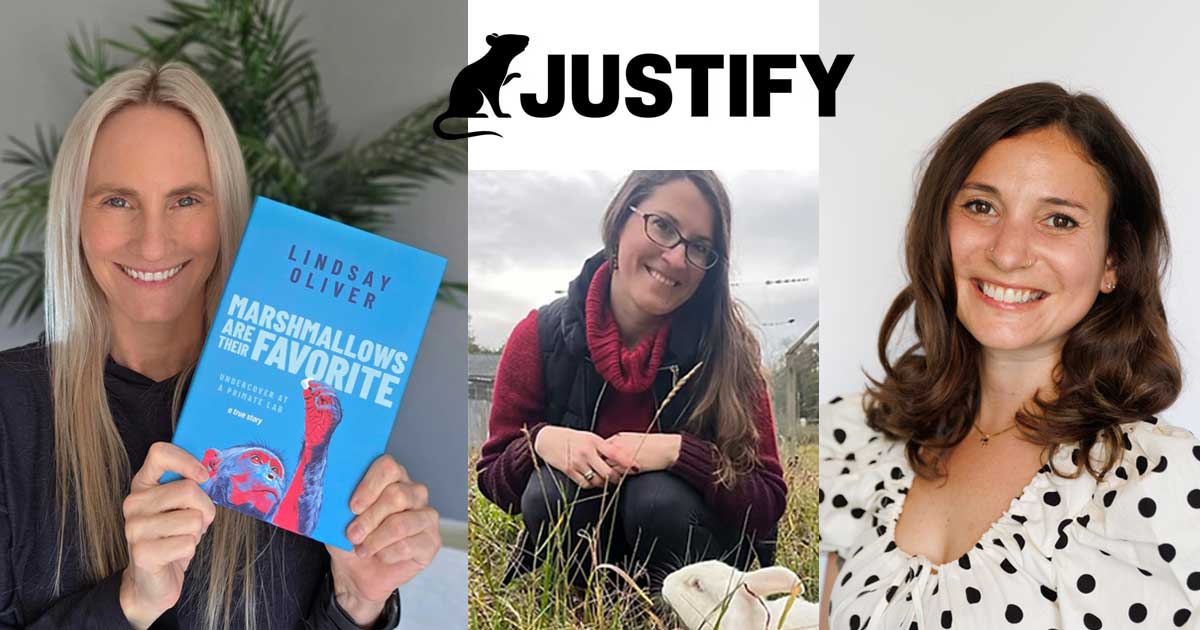 November Town Hall – JUSTIFY is Back