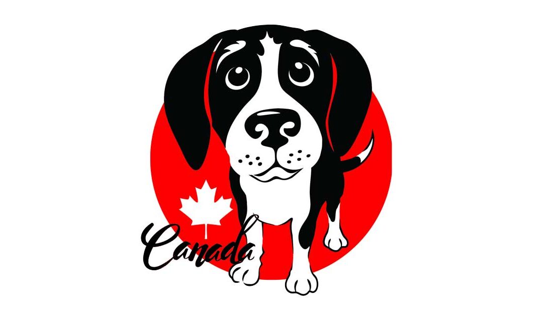 WANTED – Fosters/Adopters 20 Dogs