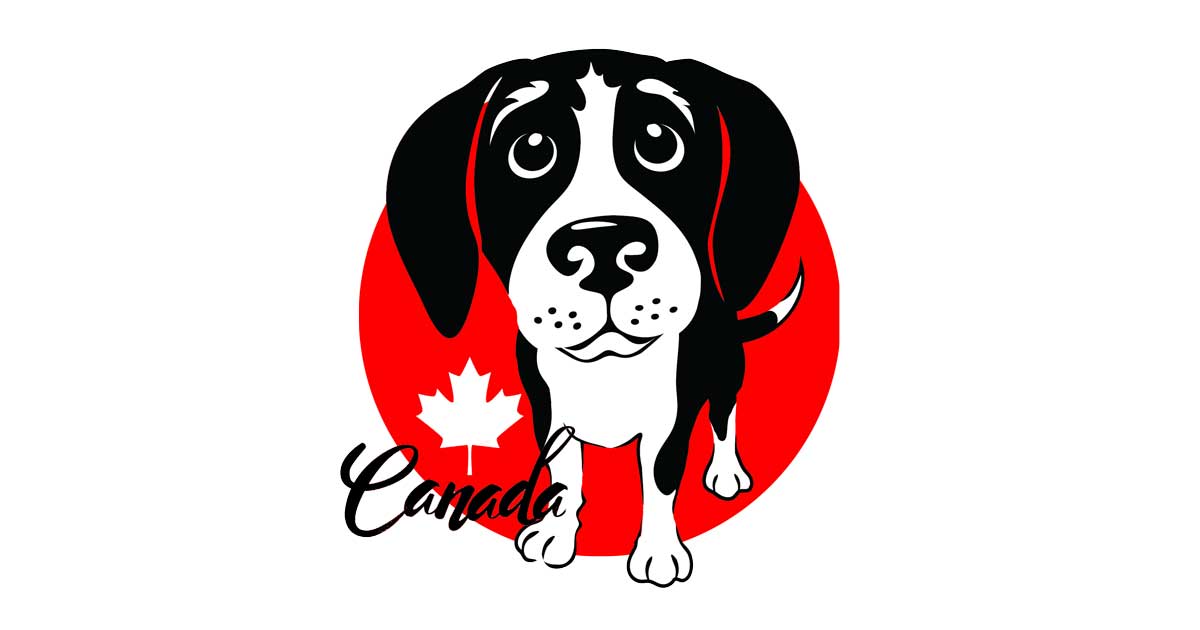WANTED – Fosters/Adopters 20 Dogs